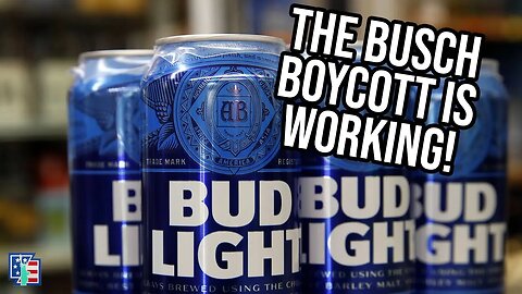 The Busch Boycott Is Working And Should Continue!