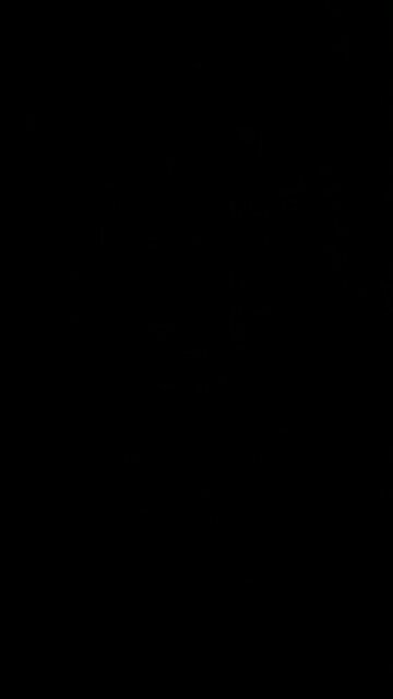 The Green Bay Packers