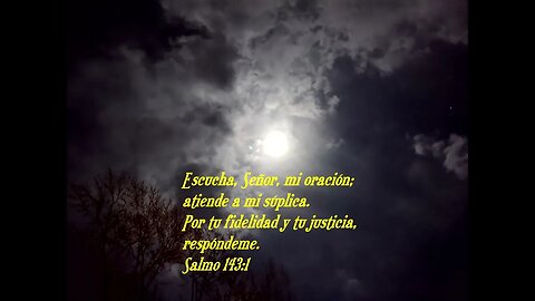 Versículo bíblico diario para hoy