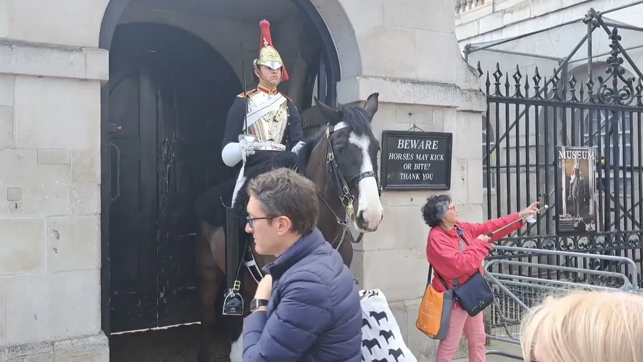 Kings guard elbows touris out of the way make way #horseguardsparade