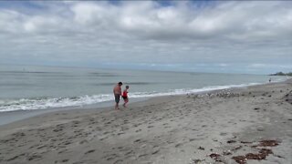 Red Tide spreads to all Sarasota beaches