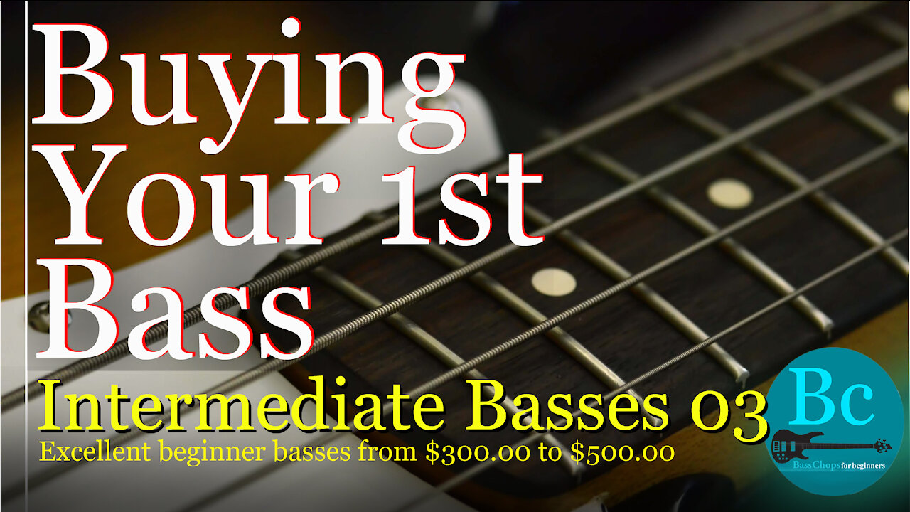 New, Intermediate Priced Basses For You 03