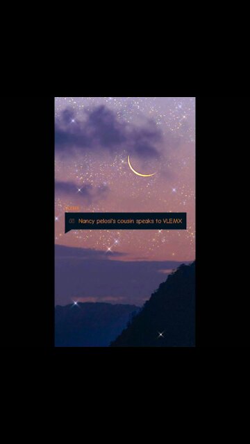 Nancy Pelosi's cousin speaks to VLEMX