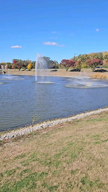 My Peaceful Place - I Can Do That for Cheaper