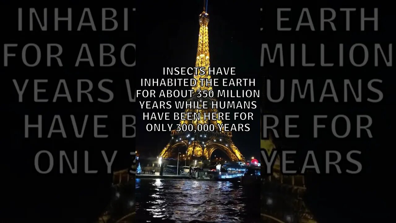 Incredible Random Facts That Will Expand Your Mind! [2023] #shorts #facts #viralshorts #fyp #life