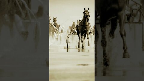 Horse speed 🚄 #copyrightfree #krol #bgm #ncssuperhero #nocopyrightmusic #skorpea