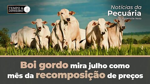 Boi gordo mira julho como mês da recomposição de preços . Hyberville Neto comenta o mercado