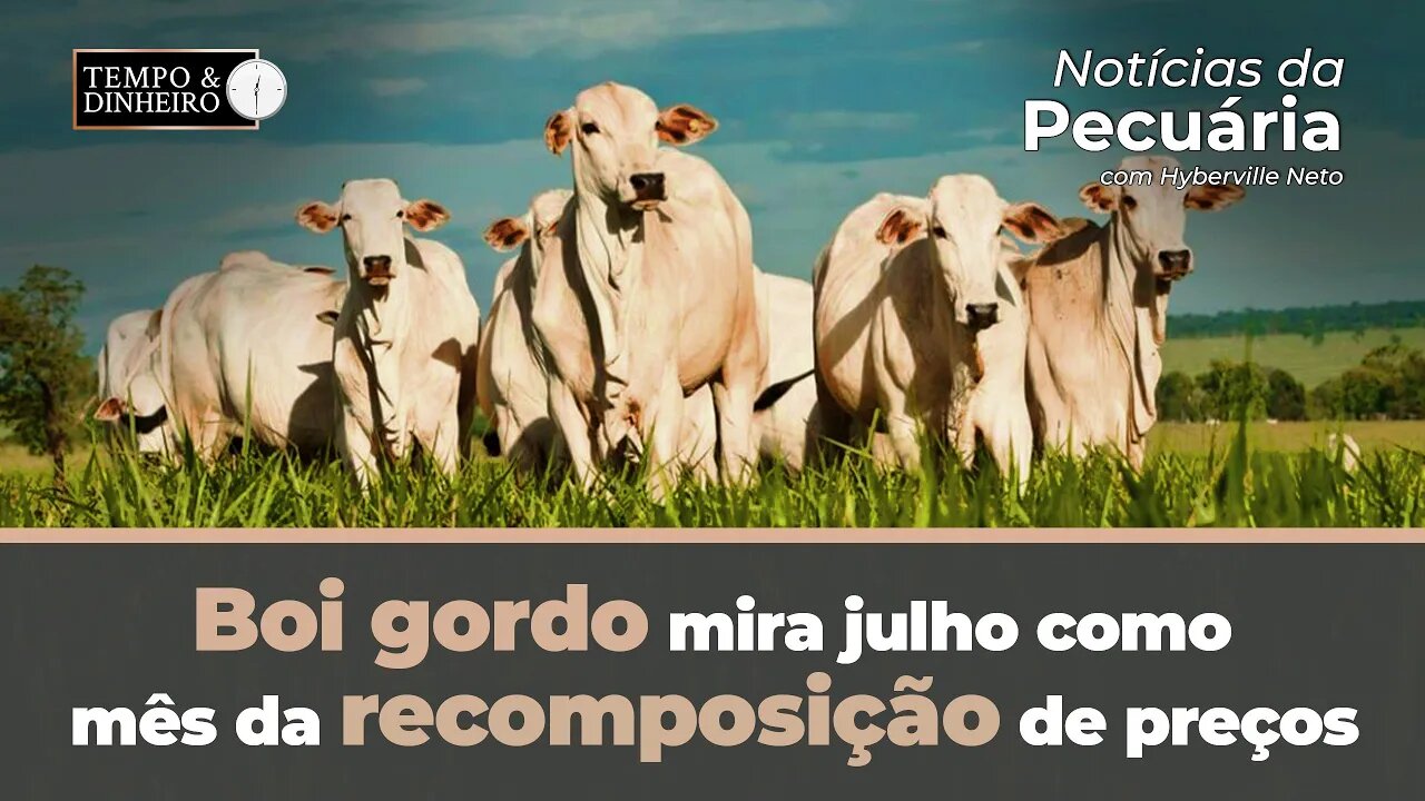 Boi gordo mira julho como mês da recomposição de preços . Hyberville Neto comenta o mercado