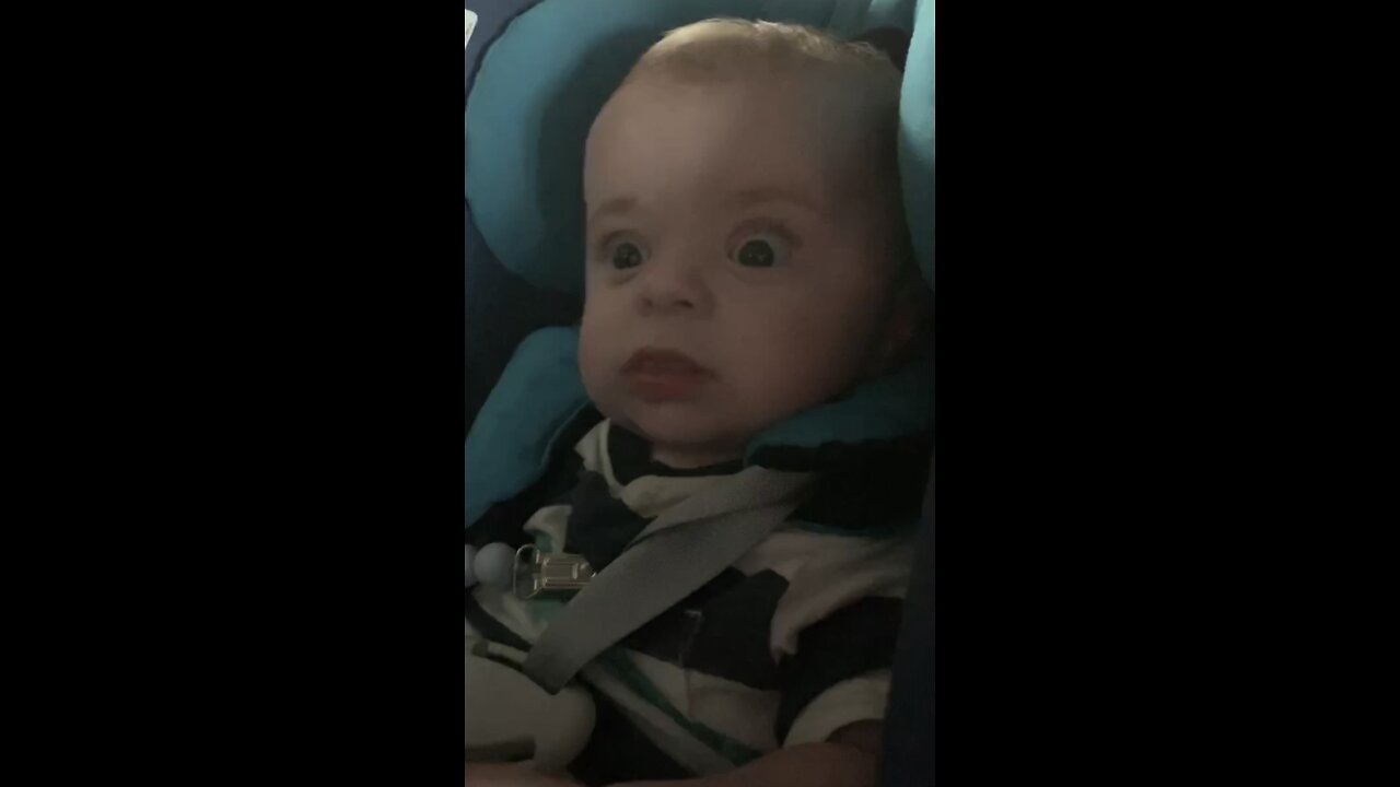 Funny baby deer in the headlights reaction when he goes through a tunnel