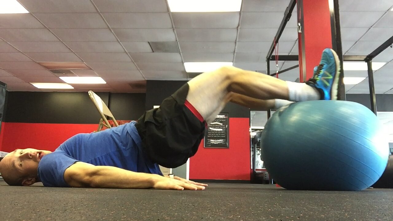 Exercise Ball Hamstring Curls