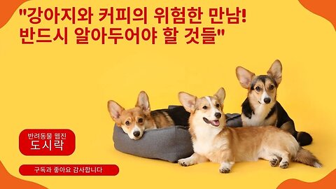 "강아지와 커피의 위험한 만남! 알아두어야 할 것들"