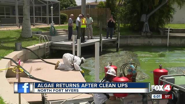 Algae persists in North Fort Myers