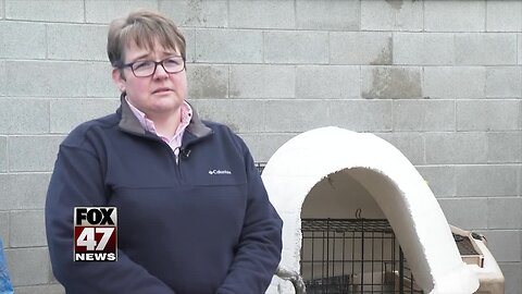 Dog houses wanted for dogs in need