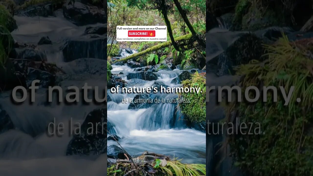 The 🏞️ Babbling Brook and 🎼 Chirping Birds 🐦 | Relaxing Music Meditation Music #detox #sleepmusic