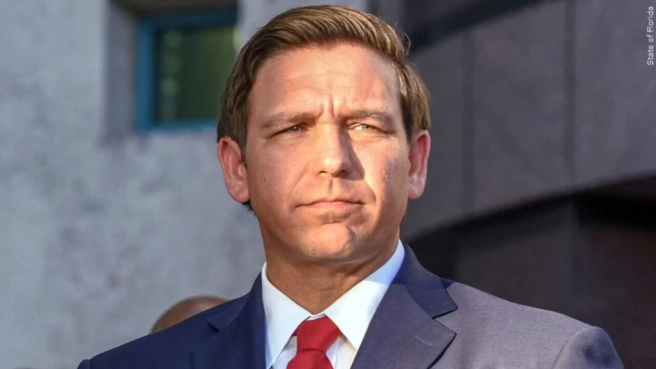 Bickering White Hats Look to DeSantis for Hope