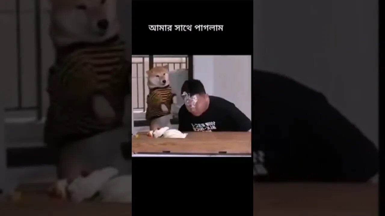 #CapCut @ @everyone #everyone