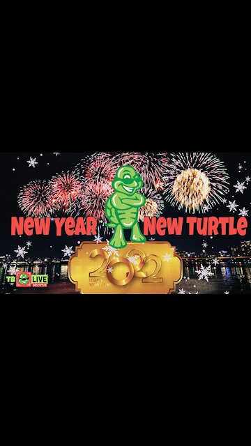 TB #shorts - New Year, New Turtle
