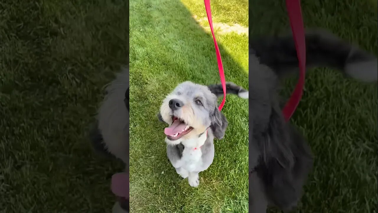 Transforming a Crazy Doodle!