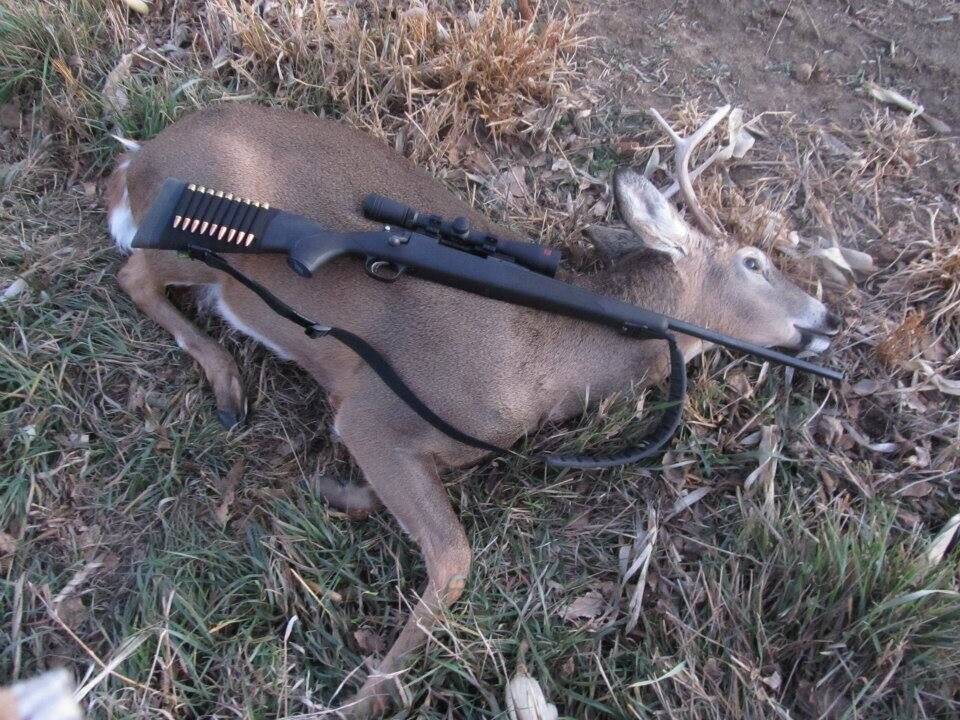 Chasing Whitetails - Deer Camp 2012