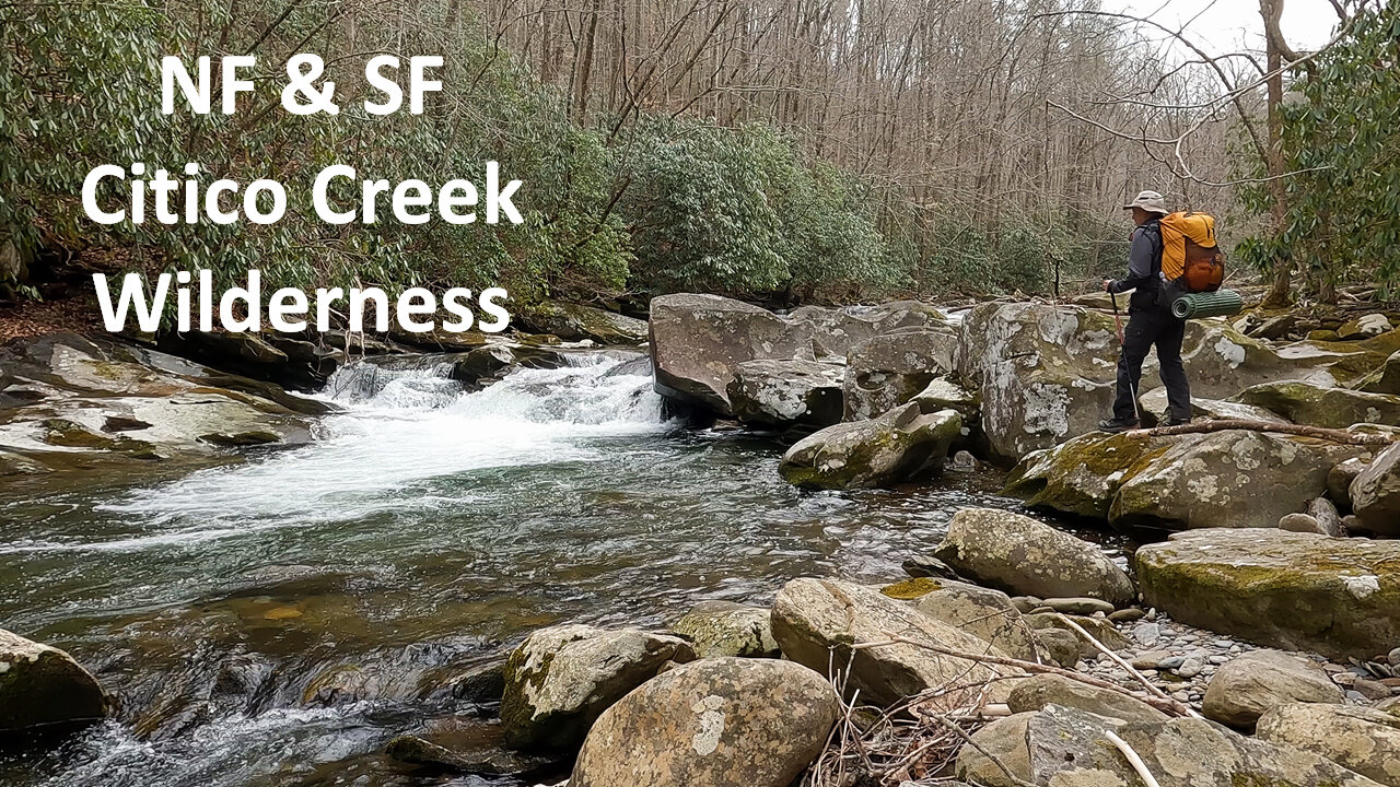 NF & SF Citico Creek Wilderness