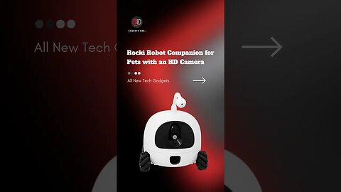 Rocki Robot Companion for Pets with an HD Camera #pets #petlover #camera #petshop #coolgadgets