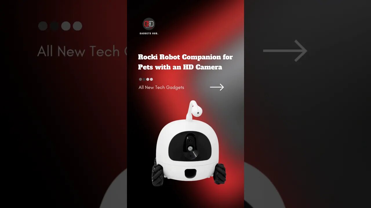 Rocki Robot Companion for Pets with an HD Camera #pets #petlover #camera #petshop #coolgadgets