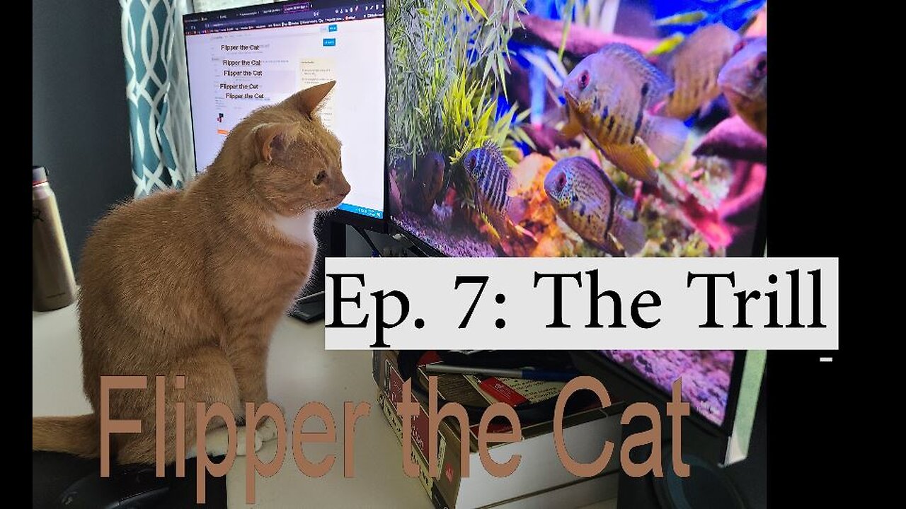 Flipper and the Trill, Ep 7