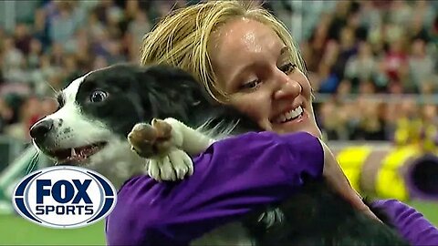P!nk the border collie wins back to back