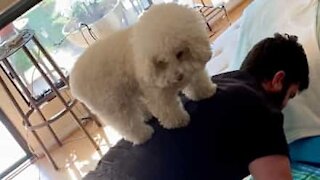 Homem faz flexões com cachorro nas costas
