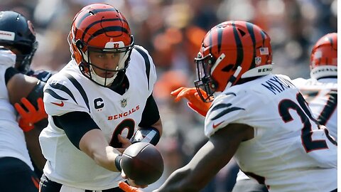 NFL Divisional Round Preview: The Underdogs Are Live!