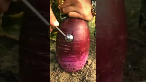 ASMR Scooping