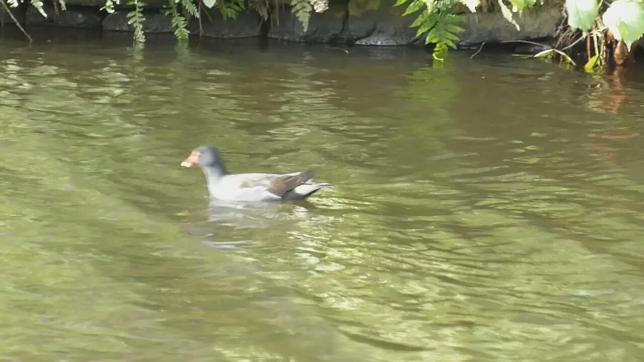 Muddy paths ,on a Sunday walk
