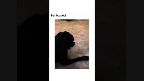 Hey! What just happened here?! Part #1😂😂