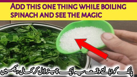 Restaurant Style Palak Gosht Recipe | Palak Gosht (Spinach) Recipe