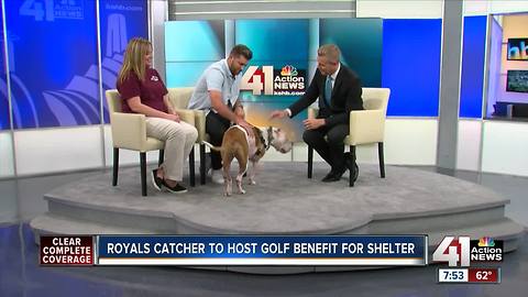 Royals catcher to host golf benefit for shelter