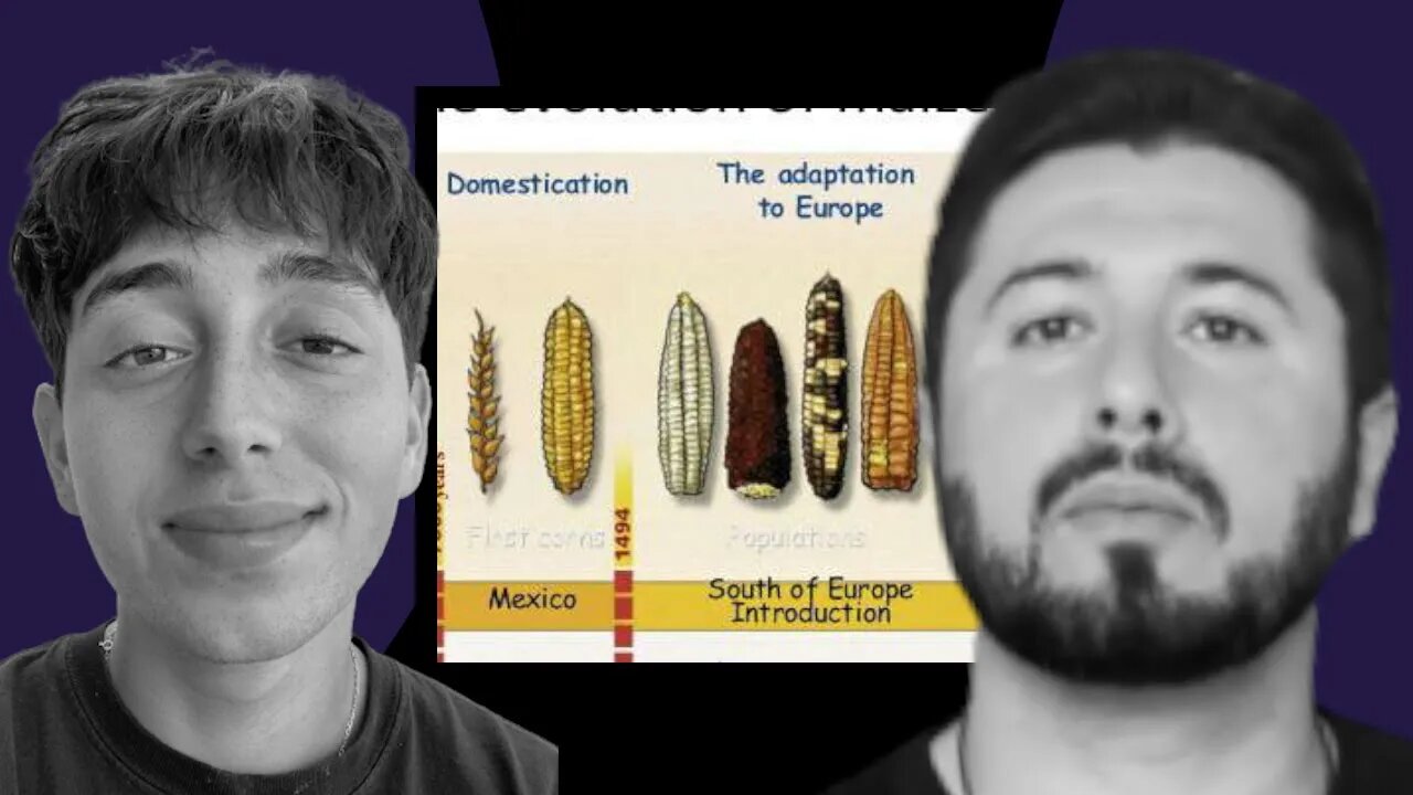 The History of Grains