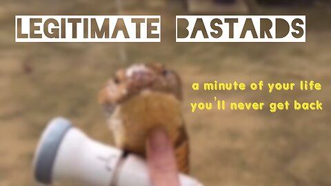How to Waterboard a King Cobra & Other Adorable Animals