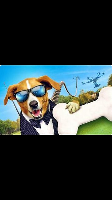 dog satisfied from spy