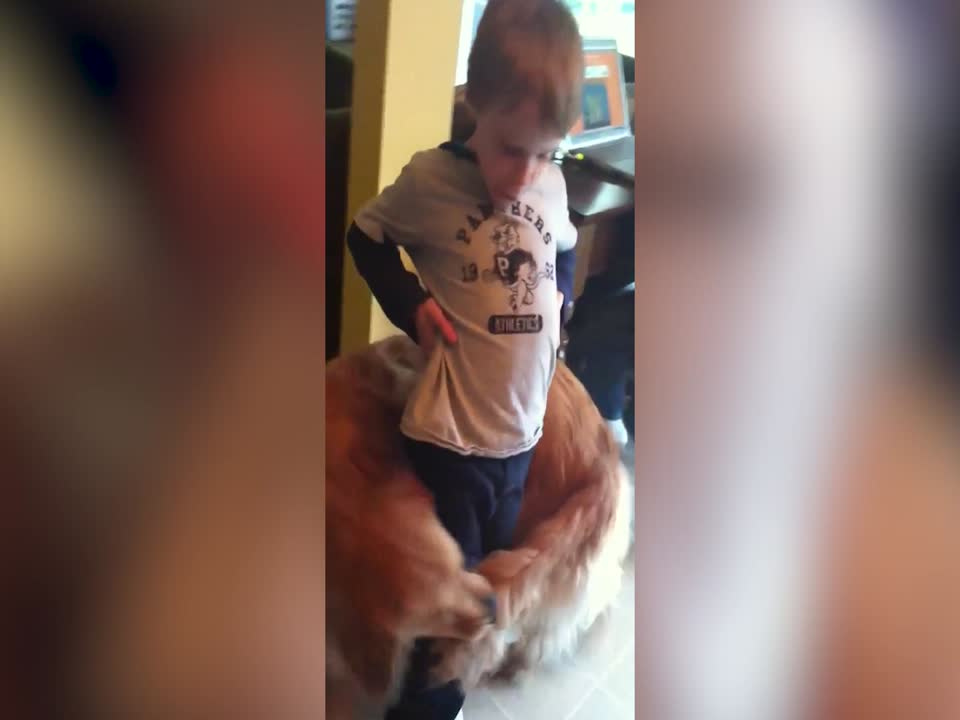 Pup Just wants to Hold onto his Favorite Little Human