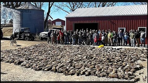 How Do European Farmers Deal With Thousands Of Raccoons?