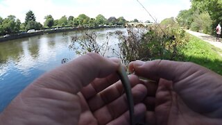 Perch fishing