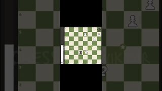 World record number of brilliant moves in a single chess game
