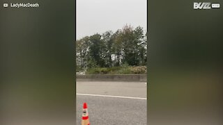 Motorista regista acidente de comboio no Canadá 1