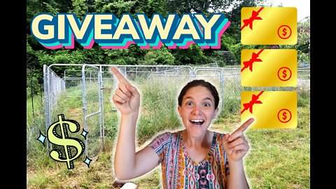 CALLING ALL VIEWERS: I Need YOUR IDEAS by 6/16/2022! – Rabbit Colony Setup