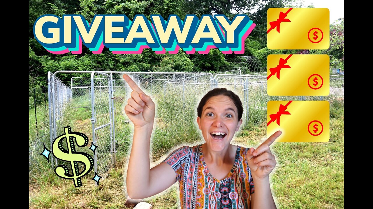 CALLING ALL VIEWERS: I Need YOUR IDEAS by 6/16/2022! – Rabbit Colony Setup