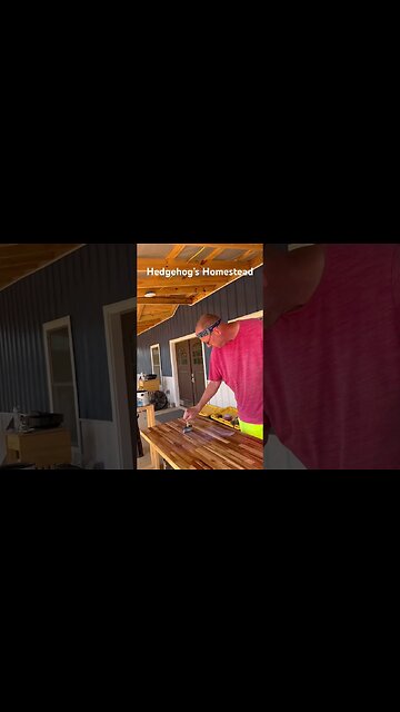 The best fly traps #hedgehogshomestead