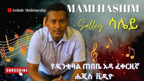 SALEY || The Harari Solo Music Video By MOHAMMED HASHIM (MAMI) ሳሌይ| ማሚ ሐሺም
