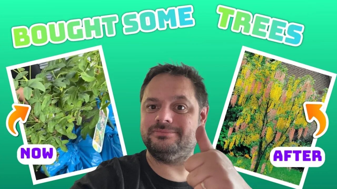 Bought some trees: Daily Vlog