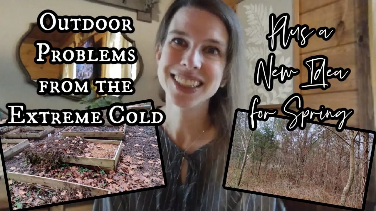 Outdoor Problems from the Extreme Cold + a New Idea for Spring