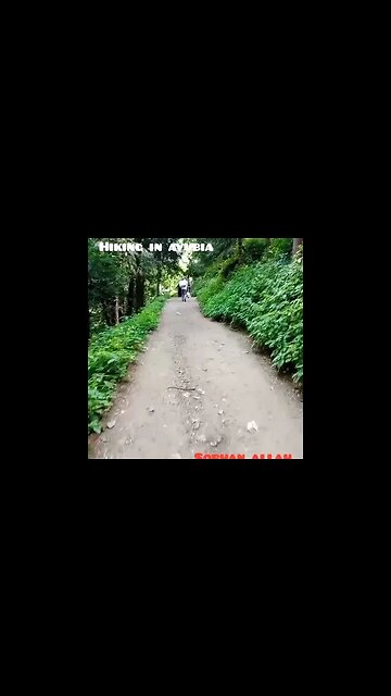 "Summit Serenity: Embarking on an Epic Mountain Hike Adventure!